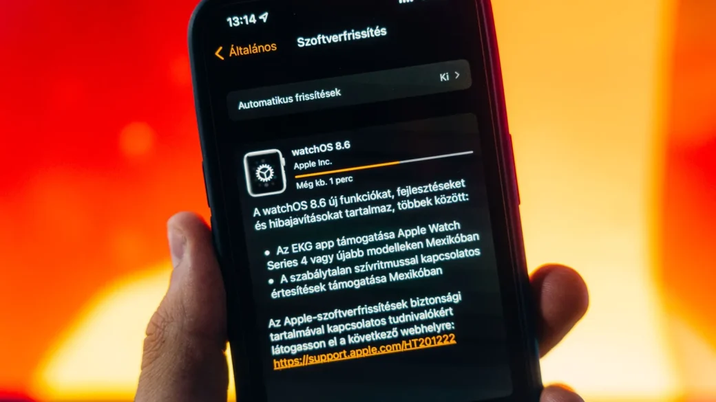 phone screen showing automatic update toggle turned on