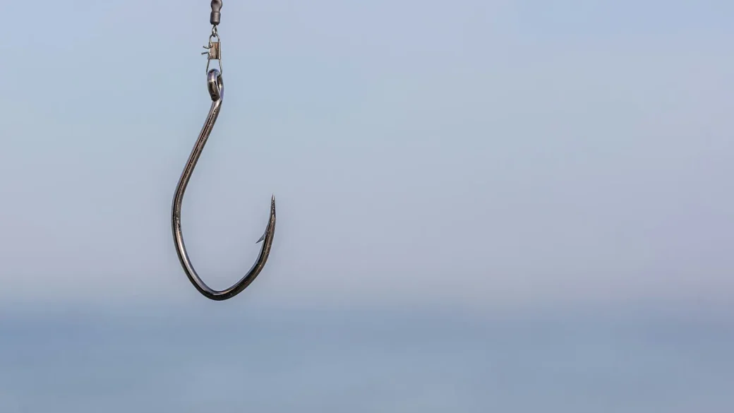 a fishing hook pulling a login form