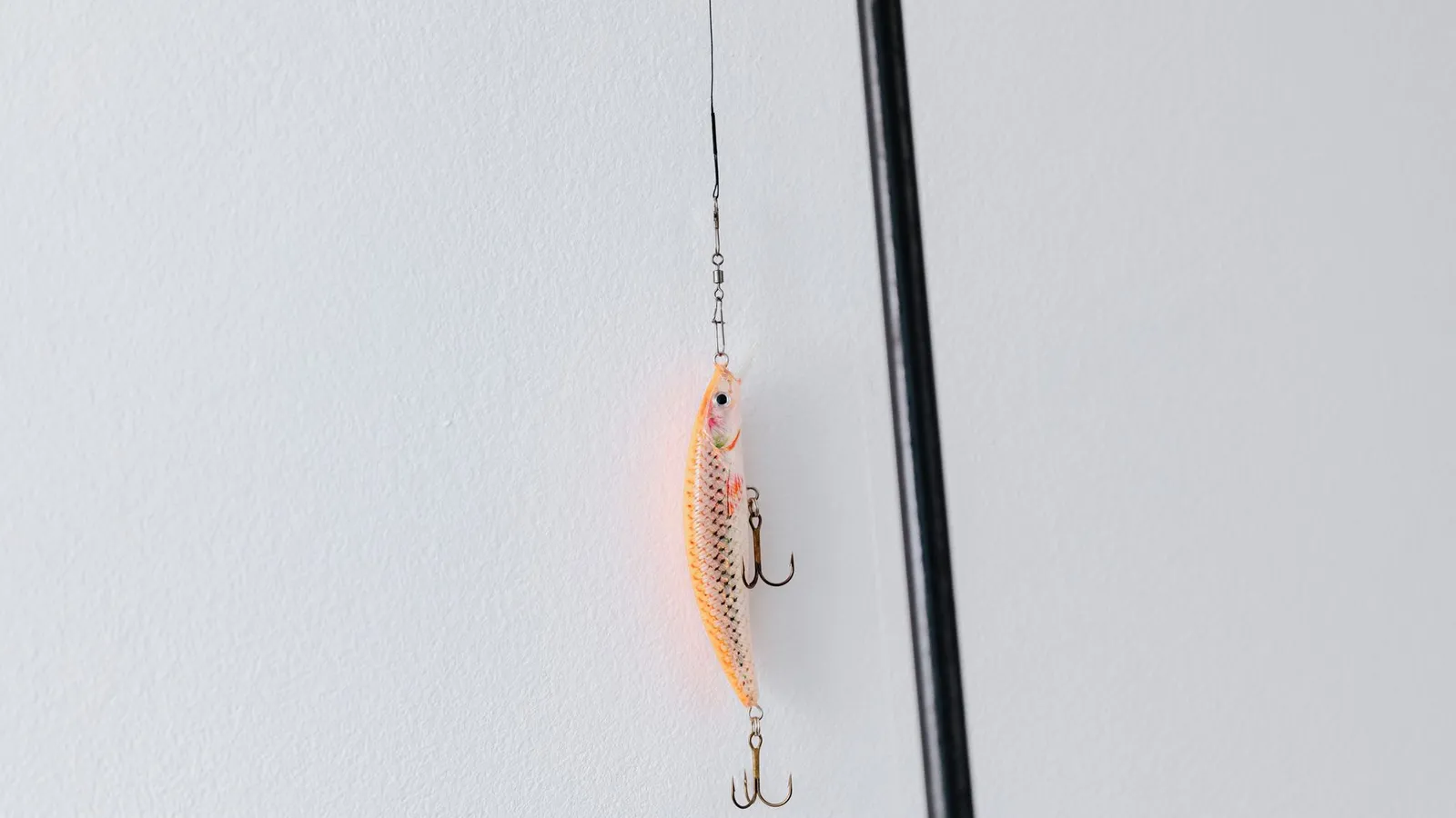 Spotting Scams and Phishing for Beginners